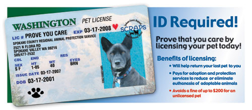 dog idca card